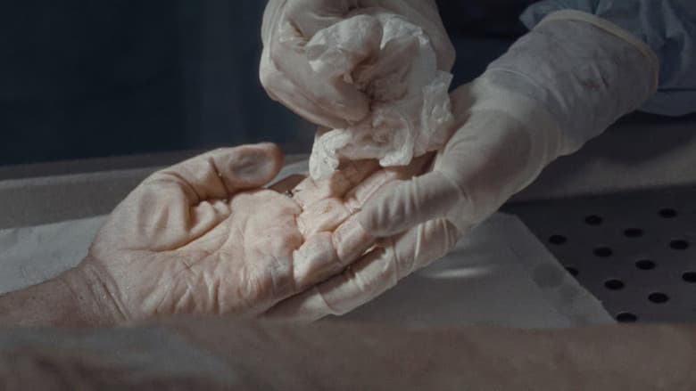 copertina del programma Sconosciuti Puri