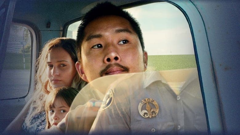 copertina Blue Bayou