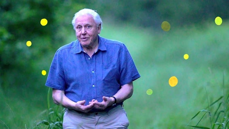 copertina David Attenborough - Luci sul pianeta