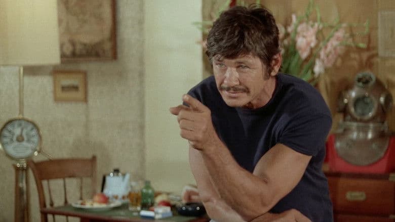 copertina L'uomo dalle due ombre