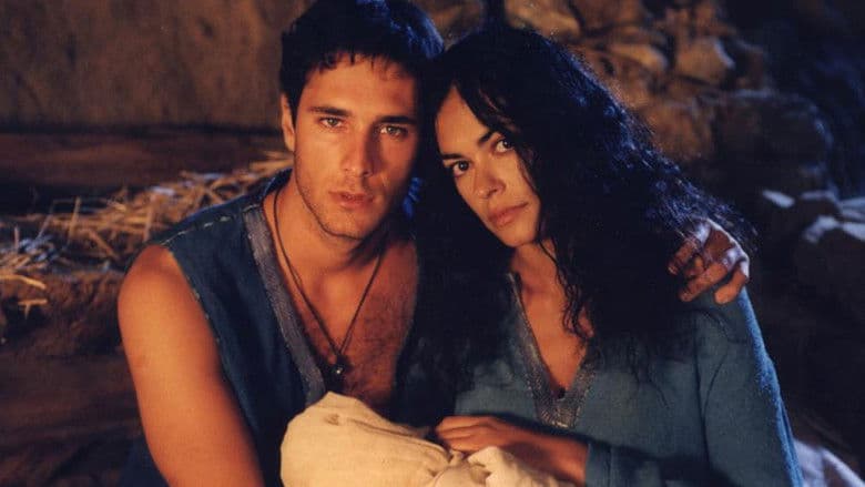 copertina Il quarto re