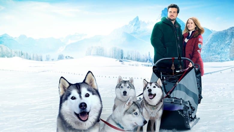 copertina del programma Una slitta per due