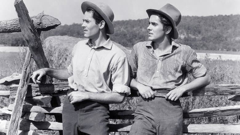 copertina del programma Jess il bandito