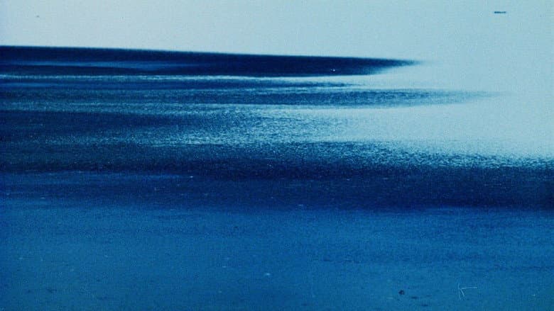 copertina del programma Il pianeta blu