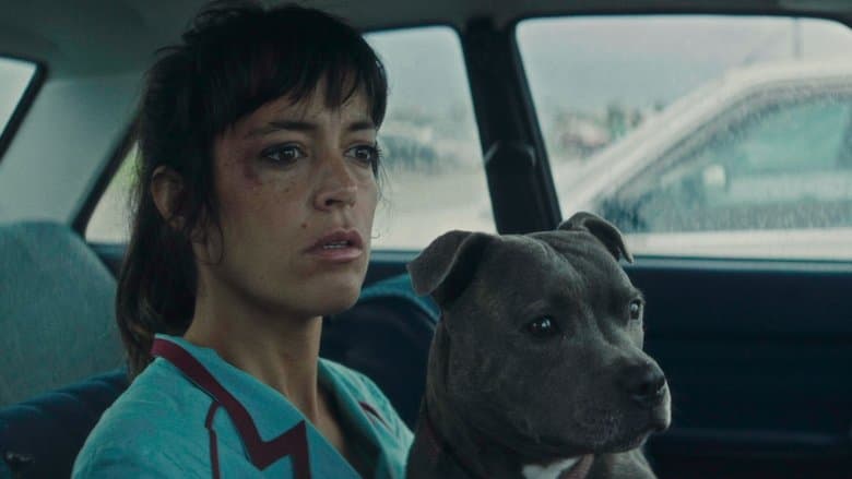 copertina Vincent deve morire