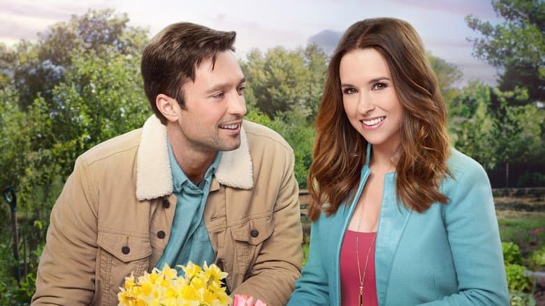 copertina Amore Al Chiaro Di Luna