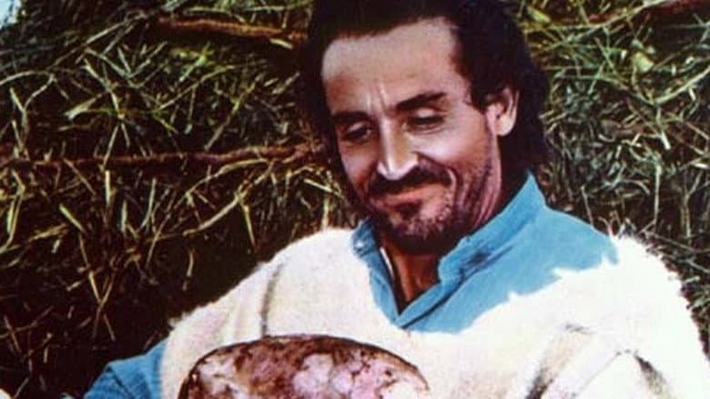 copertina Il profeta