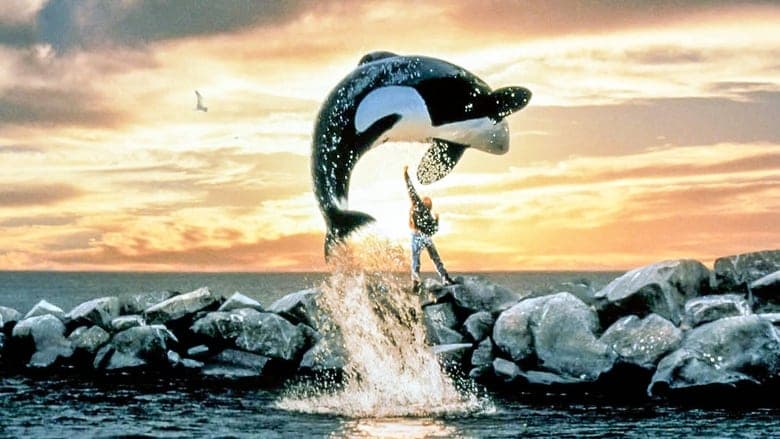 copertina del programma Free Willy: Un amico da salvare