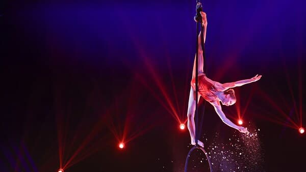 copertina del programma Il 47° Festival Del Circo Di Montecarlo