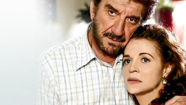 copertina Il Veterinario