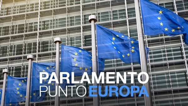 copertina Rai Parlamento Punto Europa