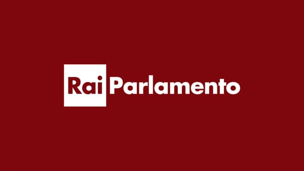 copertina Rai Parlamento Telegiornale