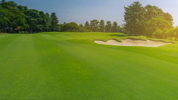 copertina The Open Championship - Stag. 2019 Ep. 4 - 4a g.