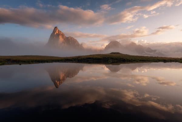 copertina del programma Natural World - Super Scoiattoli