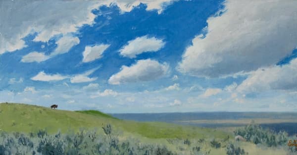 copertina del programma Patagonia Selvaggia - Stag. 1 Ep. 2 - Patagonia Selvaggia Ep.02