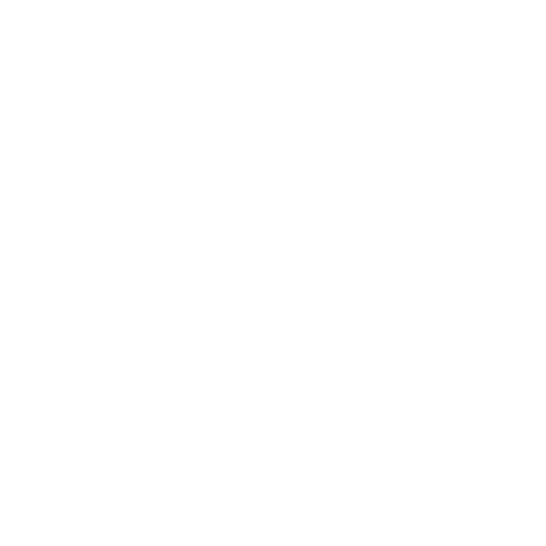 copertina Scandicci - Chieri