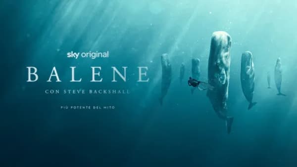 copertina Balene con Steve Backshall