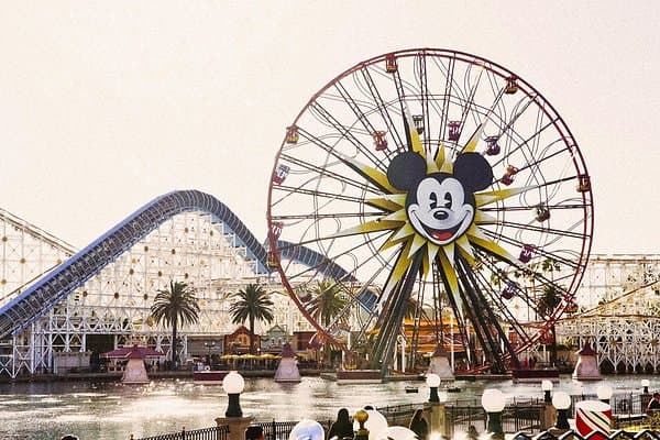 copertina del programma Squali: l'incubo dei surfisti