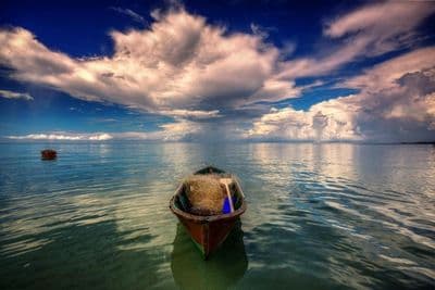 copertina Borneo: paradiso da proteggere - Barriere