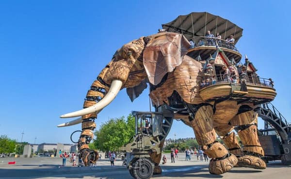 copertina Elefanti: storie di giganti