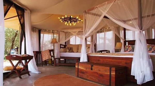 copertina La magia della natura: Patagonia