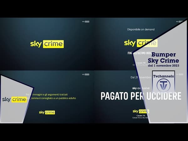 copertina del programma Pagato per uccidere