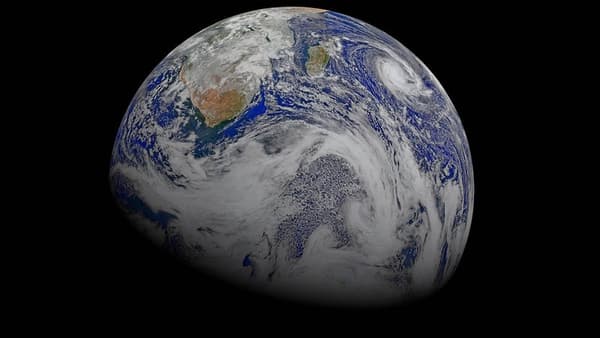 copertina Planet Earth - Stag. 2 Ep. 3 - Giungla