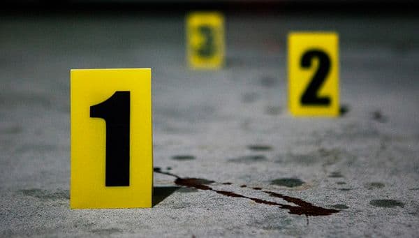 copertina del programma Tutta la verita'