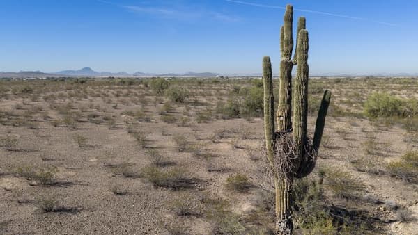 copertina del programma Sky Cube - Stag. 1 Ep. 11 - Sky Cube (2026) Ep.11 - Federico Leoni