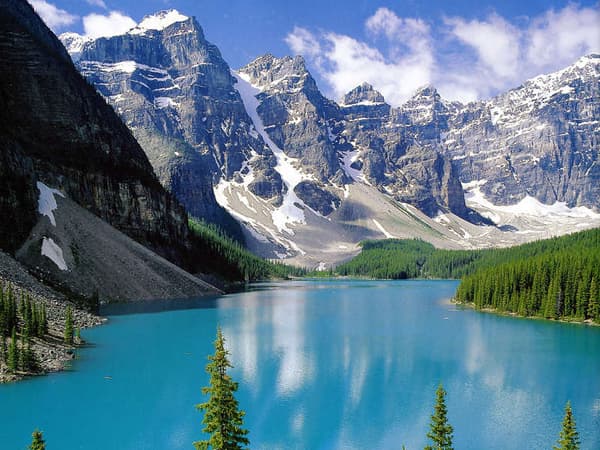 copertina Canada: Un anno nella natura selvaggia