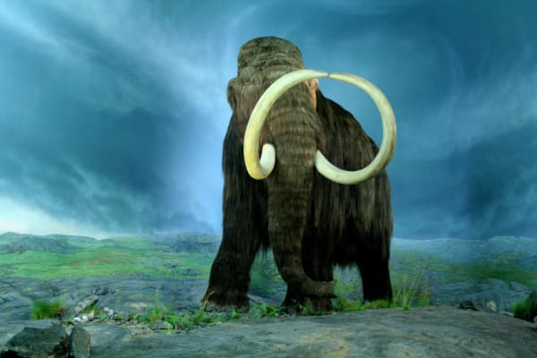 copertina I misteri dei giganti