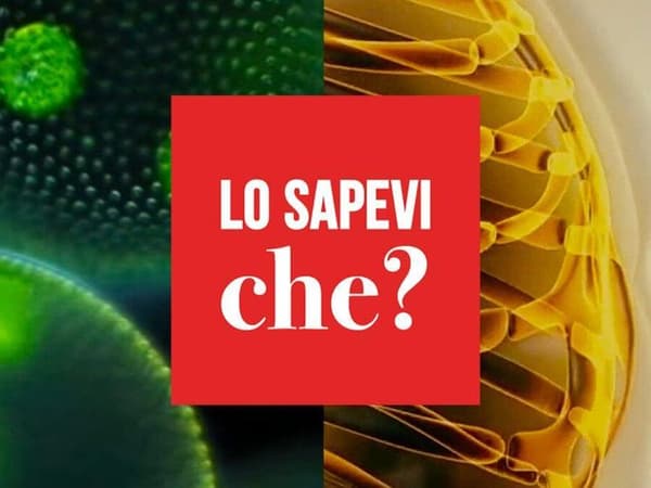 copertina Lo sapevi che?