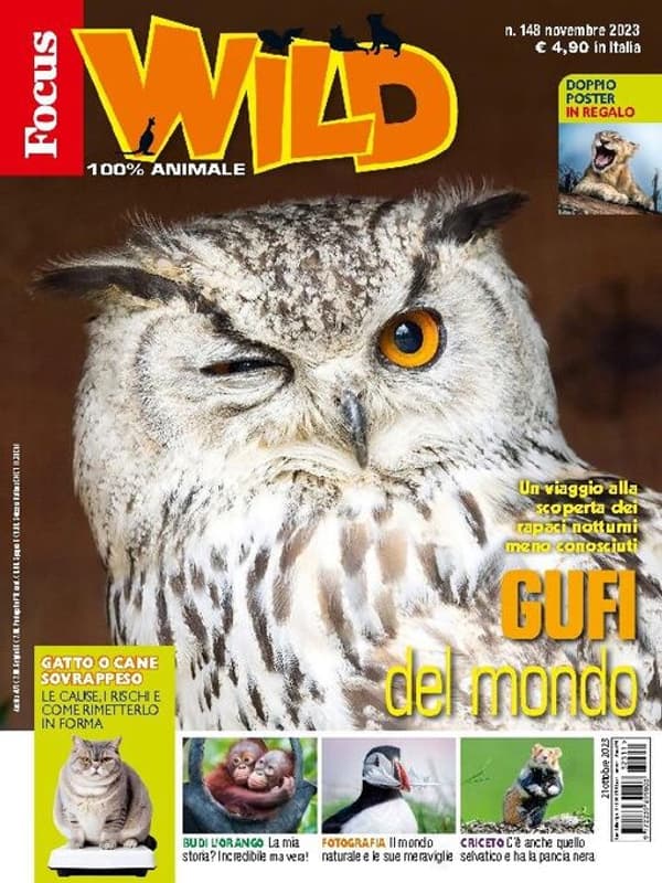 copertina del programma Natura - Meraviglie per un anno