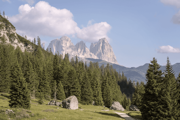 copertina del programma Viaggio in Italia - Tra storia, scienza e natura