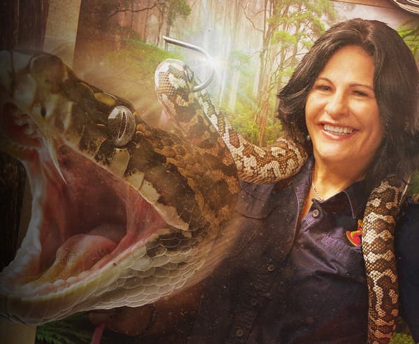 copertina del programma A caccia di rettili