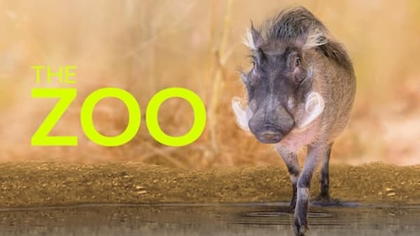 copertina del programma Alla ricerca dello squalo leopardo