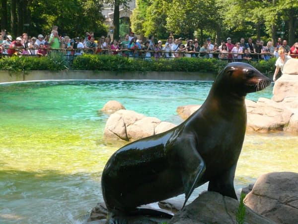 copertina del programma Lo zoo del Bronx