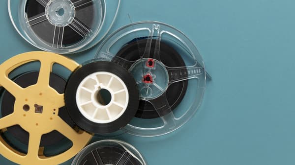 copertina del programma Predatori letali: il morso dello squalo