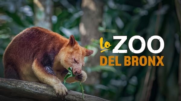 copertina del programma Squali alieni: nuovi mondi da scoprire