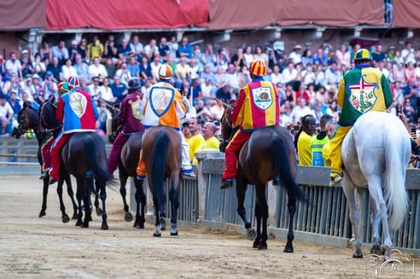 copertina del programma Palio di Siena - L'Attesa