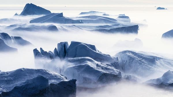 copertina Dal Tirreno All'Antartide. Lo Straordinario Viaggio Di Ajmone-Cat