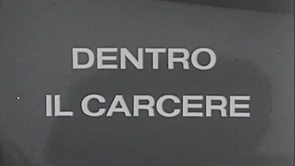 copertina del programma Dentro Il Carcere - Il Trattamento (Pt.2)