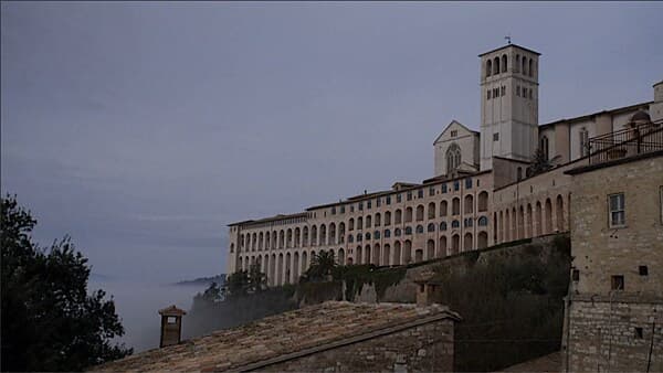 copertina del programma Il Tesoro Di Assisi