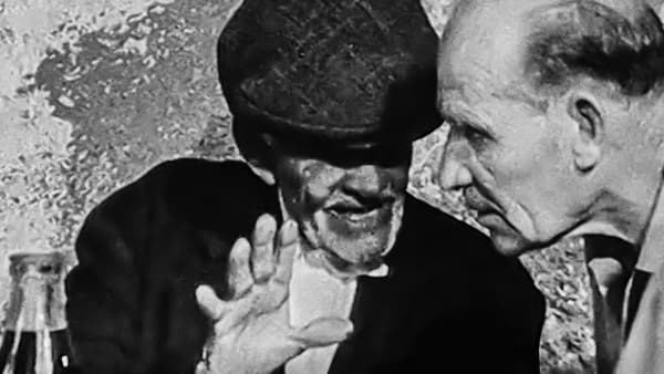copertina L'Italia Dei Dialetti - Dialetto Lingua Segreta