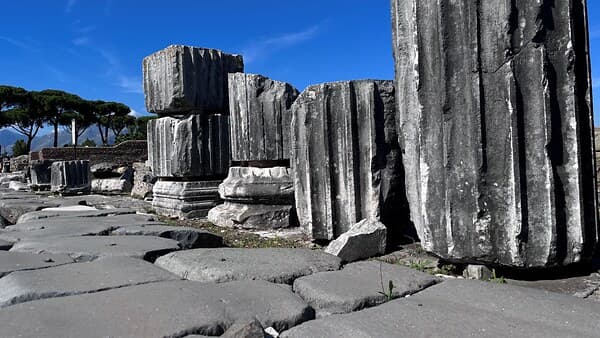 copertina Regina Viarum. Via Appia Nella Storia