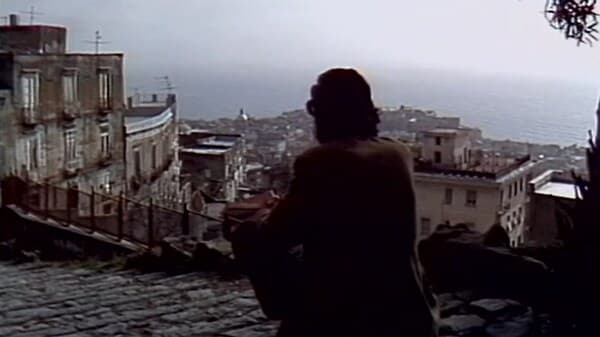 copertina Bestiario Metropolitano - I Muschi E Le Erbe