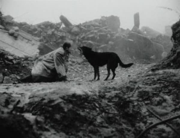 copertina Fuori orario. Cose (mai) viste