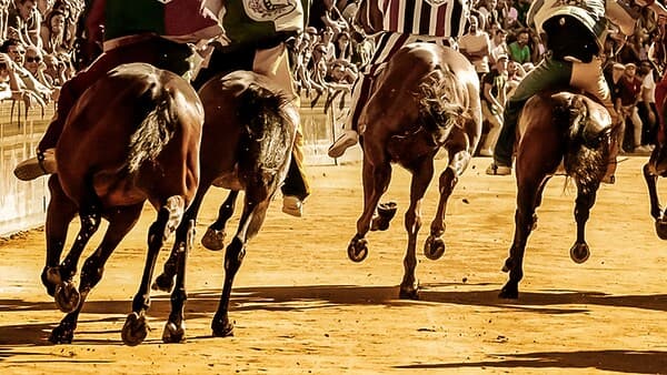 copertina del programma Speciale TGR - Il Palio Dell'Assunta Di Fermo 2026