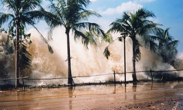 copertina del programma 2004, Lo Tsunami Sumatra
