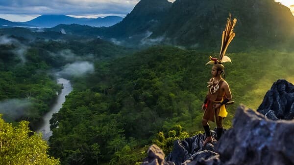 copertina Borneo, La Foresta Ancestrale